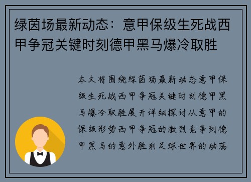 绿茵场最新动态：意甲保级生死战西甲争冠关键时刻德甲黑马爆冷取胜